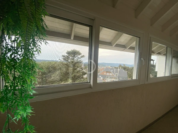 Foto de 