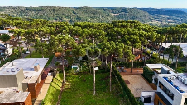 Foto de