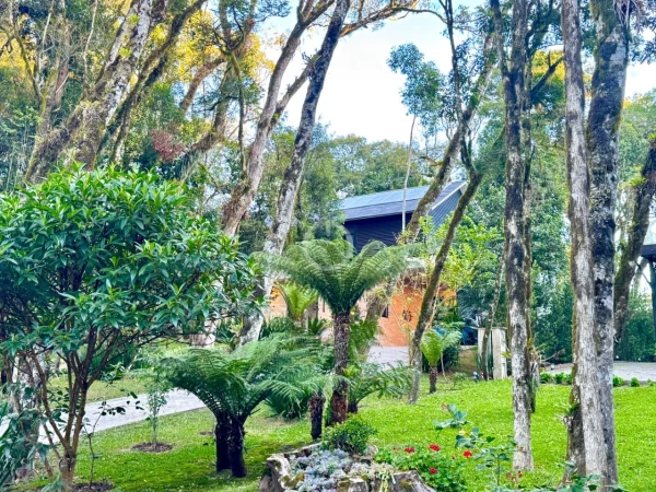 Foto de