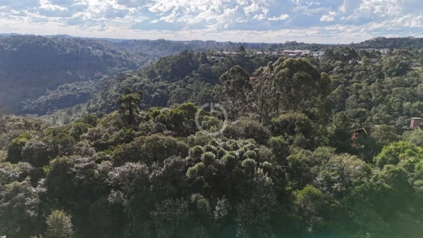 Foto de