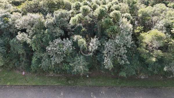 Foto de