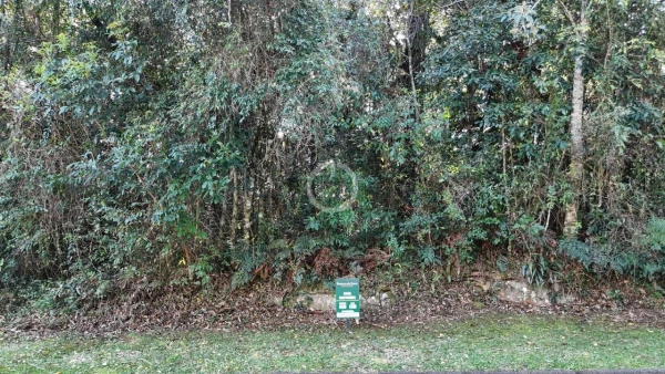Foto de