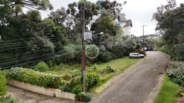 Foto de