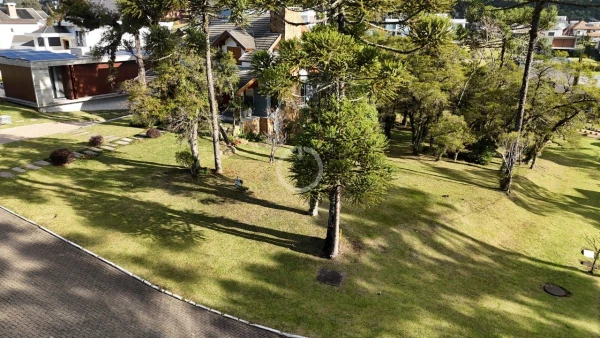 Foto de