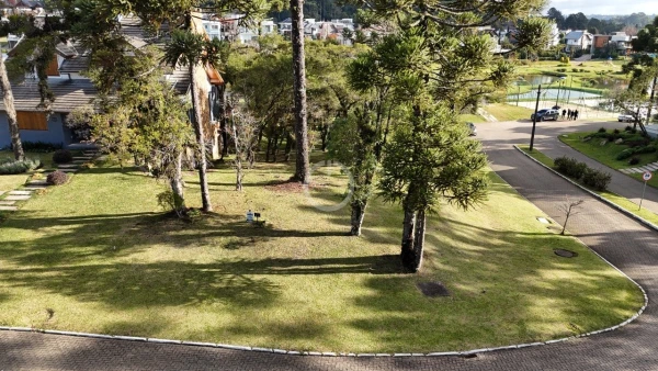 Foto de