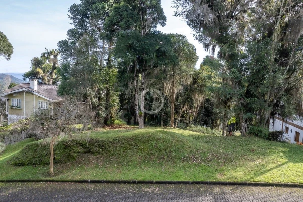 Foto de