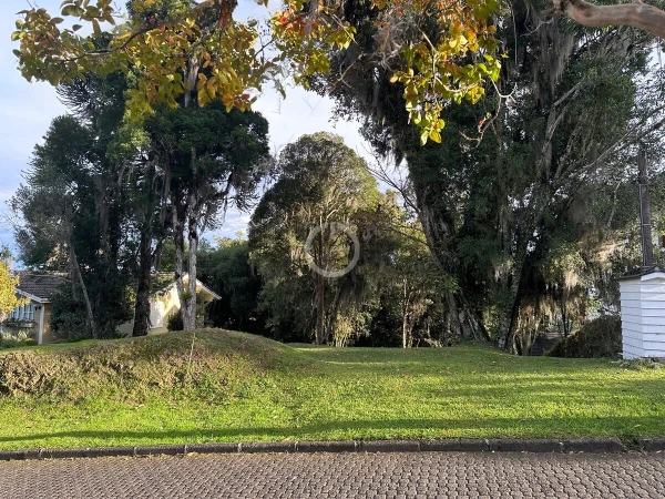 Foto de