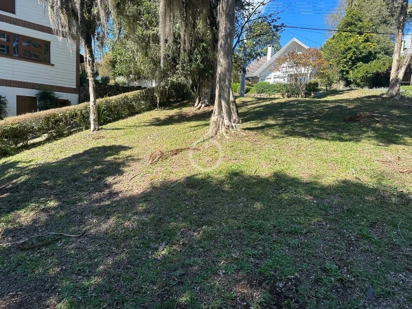 Foto de