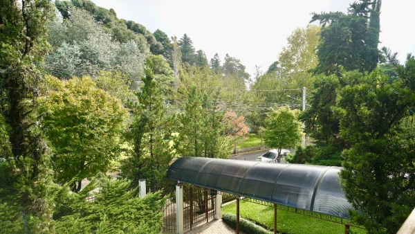 Foto de 