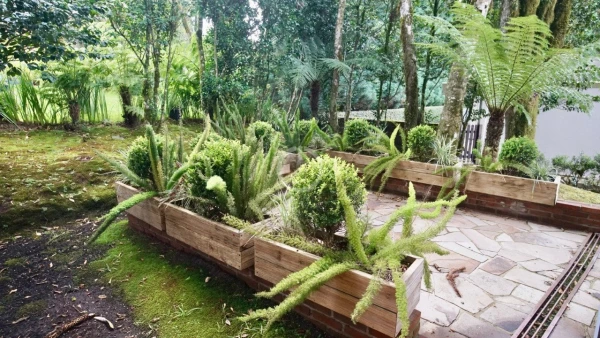 Foto de 