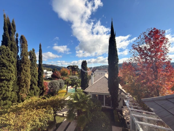 Foto de 