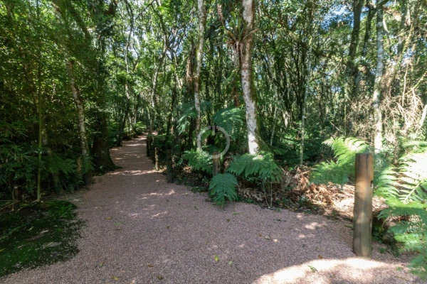Foto de 