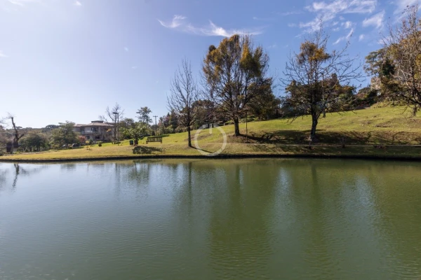 Foto de 